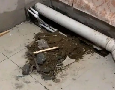 肇源卫生间漏水检测哪家好